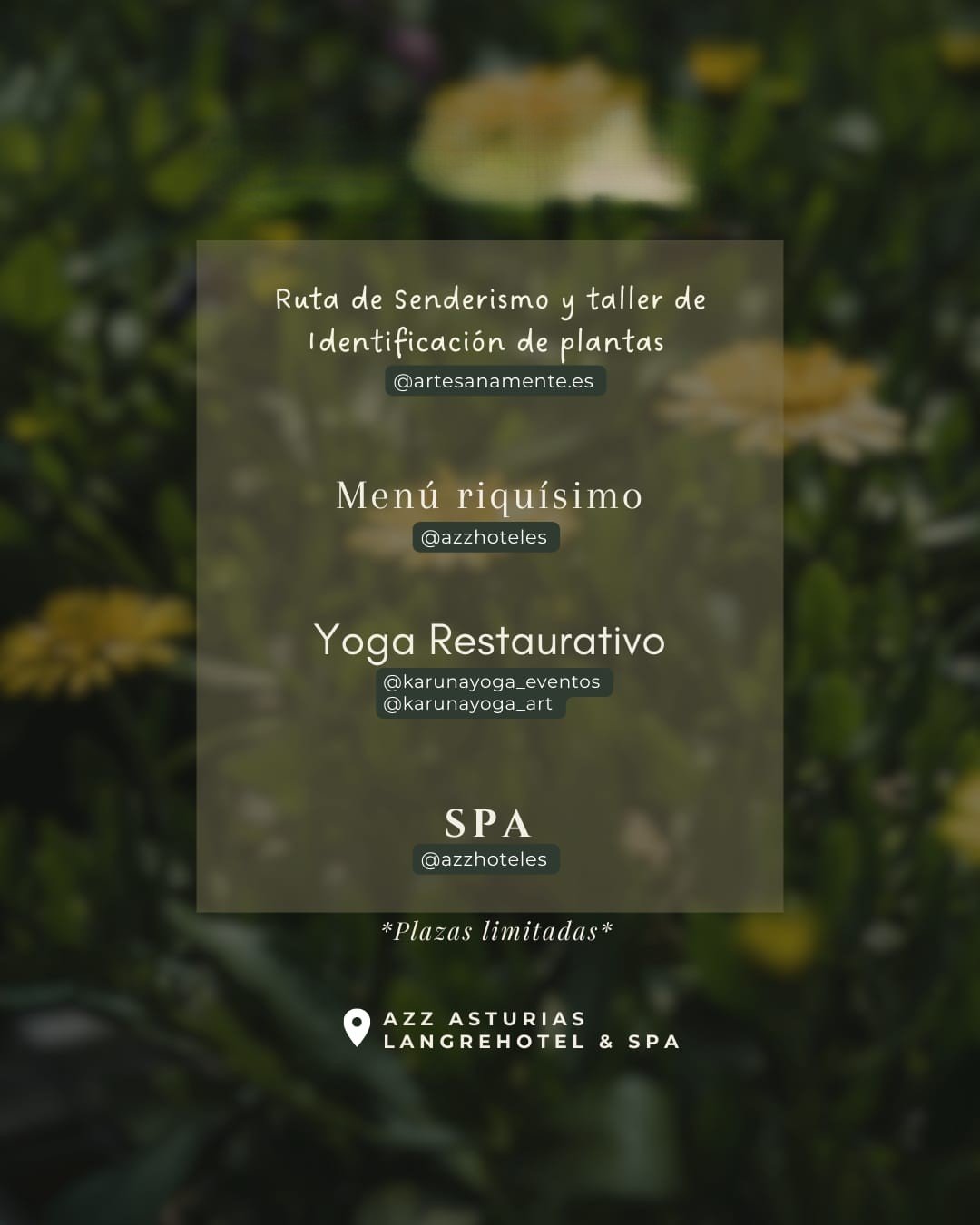 yoga artesanamente spa plantas
